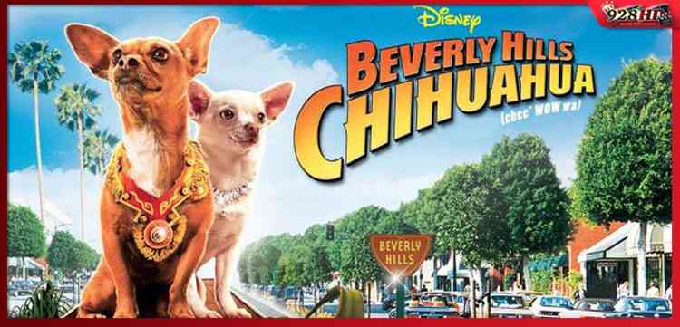 ดูหนังออนไลน์ คุณหมาไฮโซ โกบ้านนอก (Beverly Hills Chihuahua) 2008