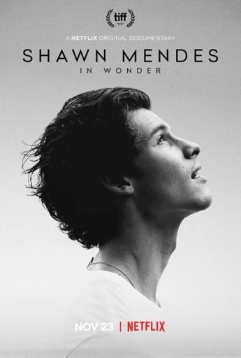 ชอว์น เมนเดส ช่วงเวลามหัศจรรย์ (Shawn Mendes In Wonder)