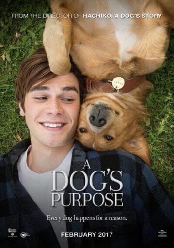 หมา เป้าหมาย และเด็กชายของผม ภาค 1 (A Dogs Purpose)