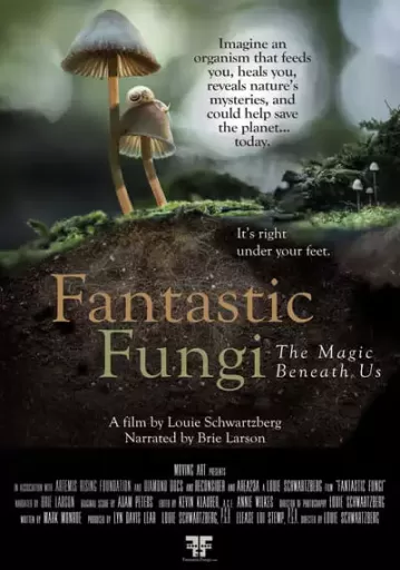 เห็ดมหัศจรรย์ (Fantastic Fungi)